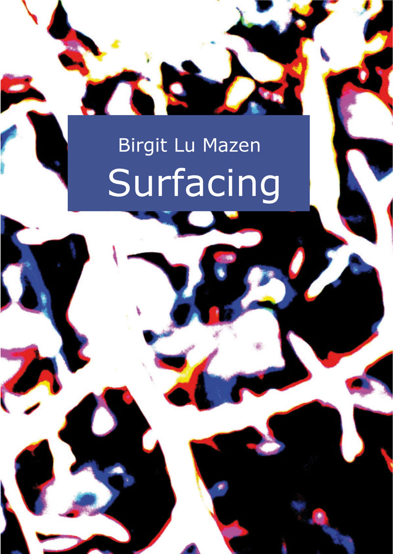 so-viele-Heft-118-Lu-Mazen-Surfacing